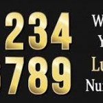 Lucky Number in 2024-कौन सा अंक लकी होगा