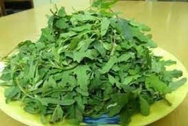 बथुआ : कई लाइलाज रोगो का एकलौता चमत्कारी समाधान